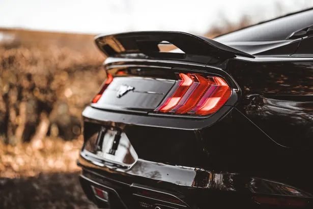 1Bet Cazino Cazinou Aplicație Android/iOS